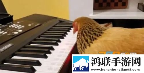 鸡你太美鬼畜音乐盒2025免费版下载-鸡你太美鬼畜音乐盒安卓免会员版