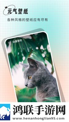 清壁纸