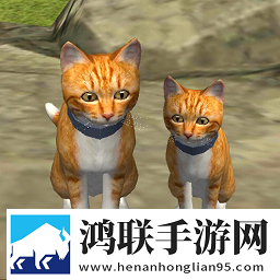 美秀直播战力飙升版