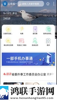 智慧丽江办事通免费版