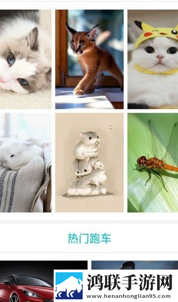 搜图界