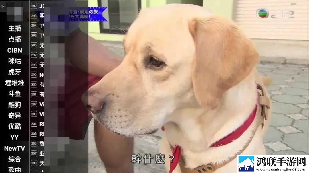 一个女人和6个男人的电视剧点赞版下载,一个女人和6个男人的电视剧美颜版美颜变美下载