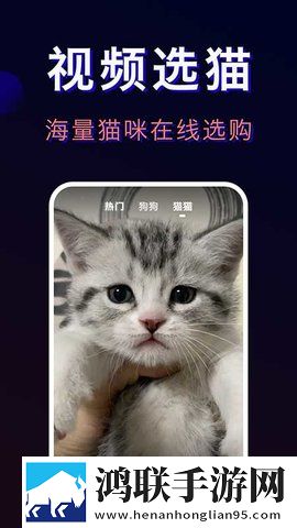 凤蝶直播穿戴版下载,凤蝶直播弹幕版弹幕刷屏下载