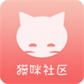 猫咪社区