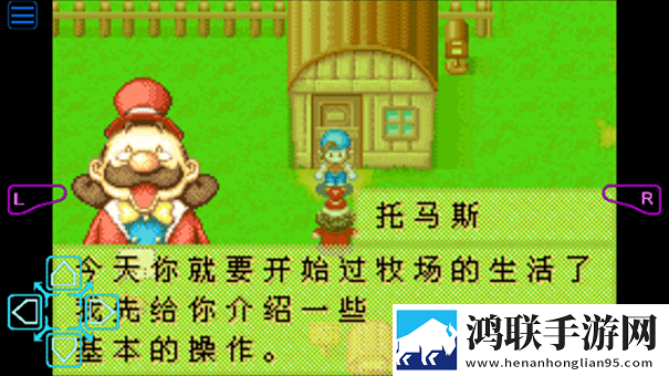 牧场物语矿石镇的伙伴们手机版