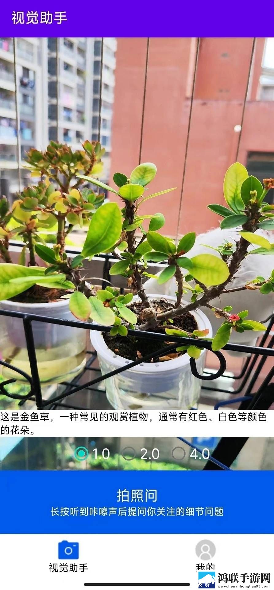60岁阿姨大人免费观看电视剧原画版下载,60岁阿姨大人免费观看电视剧息屏播放版省电下载
