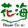 爱做直播APP英字版