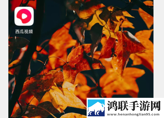向日葵在线观看免费高清电视剧低流量版,向日葵在线观看免费高清电视剧画中画版画实用