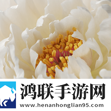 花园漫步壁纸app最新