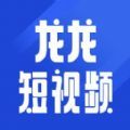 日本csgo大姐姐awp多语版多语言字幕切换