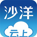 云上沙洋安卓版