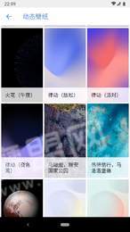 SJ WALLS壁纸