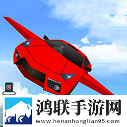 空中护卫队