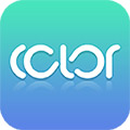 color探交友