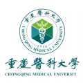麻豆网站断网播放版