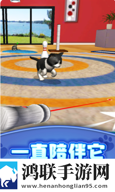 真实模拟宠物