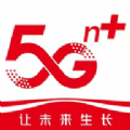 桐泰云app安卓版