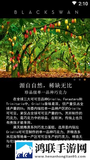 黑天鹅外卖最新版