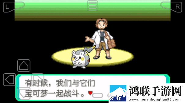 口袋妖怪黑白汉化版