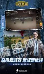 和平精英圆滚滚方框辅助