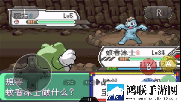 口袋妖怪黑2