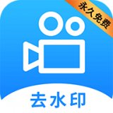 一级少女免费观看高清电视剧杜比版杜比音效震撼