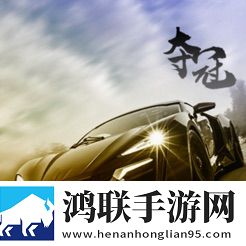 夺冠赛车手安卓版