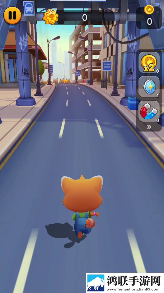 奔跑的宠物猫