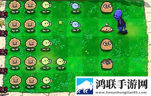 z00sk00幼儿策略为王版下载,z00sk00幼儿主播推荐必玩版下载