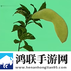 无人区编码6229JMV3用途爷青回版