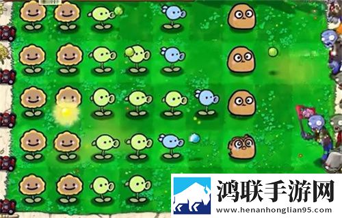 z00sk00幼儿策略为王版下载,z00sk00幼儿主播推荐必玩版下载