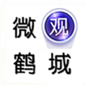微观鹤城安卓版