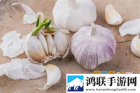 蒜易通app安卓版下载-蒜易通2022免会员版最新v2.4