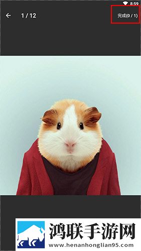 人野兽马狗猪大全极速安装版安装速度惊人下载-人野兽马狗猪大全低延迟版下载