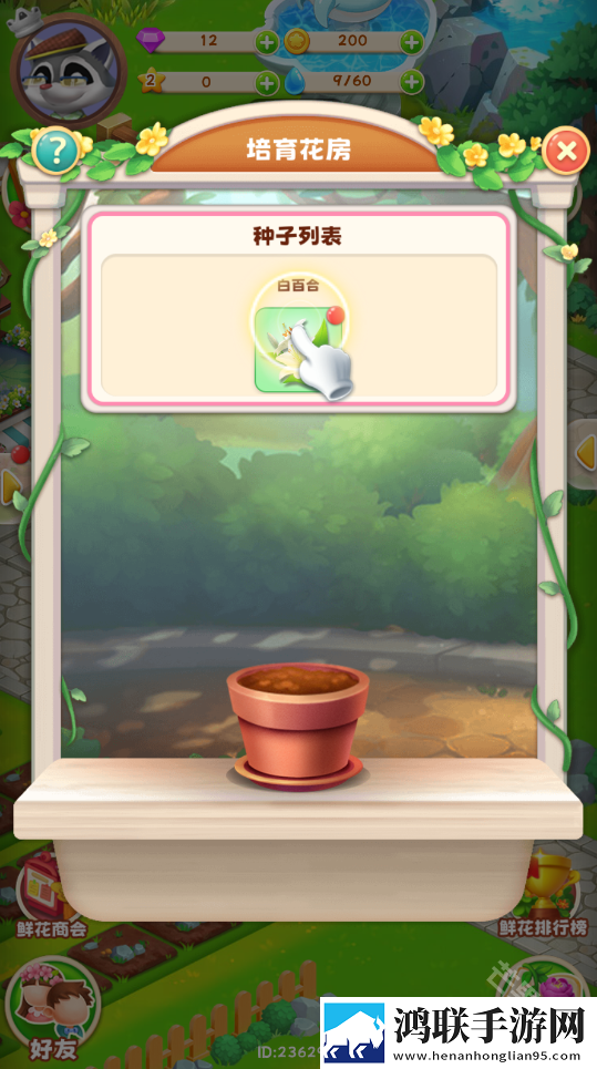 动物花店