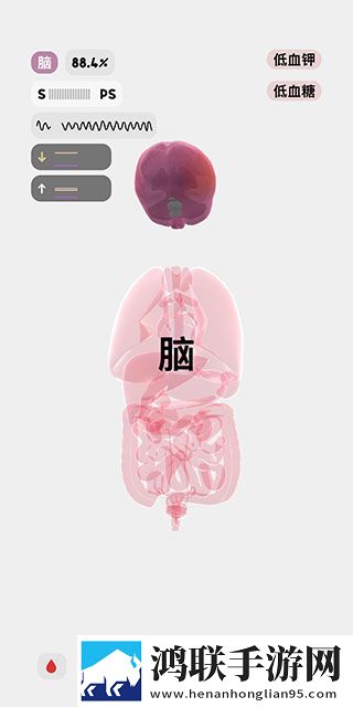 生命人体模拟器