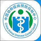 一级做ae视频片段多少费用高帧版