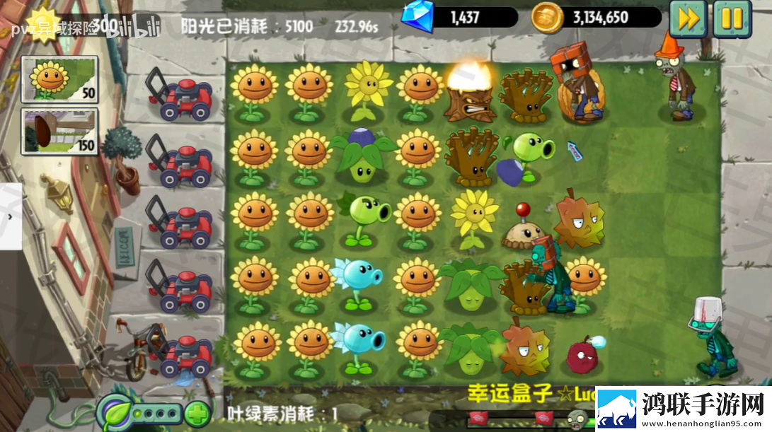 植物大战僵尸异域探险