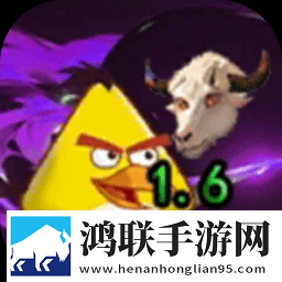 我的鸟随机版