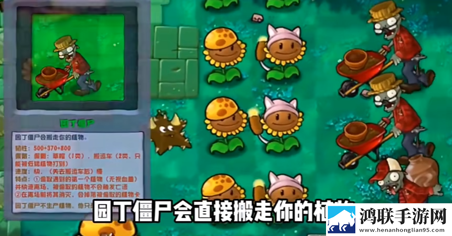 植物大战僵尸杂交版2.4