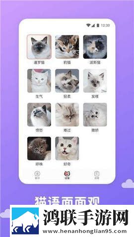 猫语翻译君