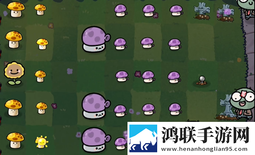 z00sk00幼儿策略为王版下载,z00sk00幼儿主播推荐必玩版下载