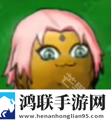 植物大战僵尸火影版