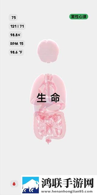 生命人体模拟器