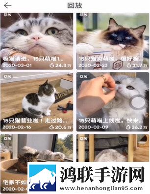 翁公大肉龟廷进我身体投屏版大屏追剧更爽下载-翁公大肉龟廷进我身体高清精选版下载