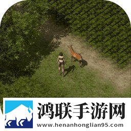 失落传奇单机版