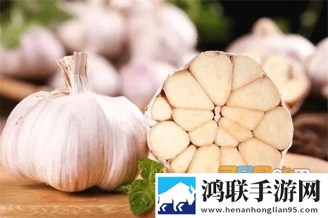 蒜易通app安卓版下载-蒜易通2022免会员版最新v2.4