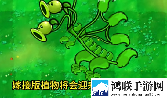 芋圆呀呀白桃少女粉色连衣裙礼包码狂欢版下载,芋圆呀呀白桃少女粉色连衣裙即时战斗操作版下载