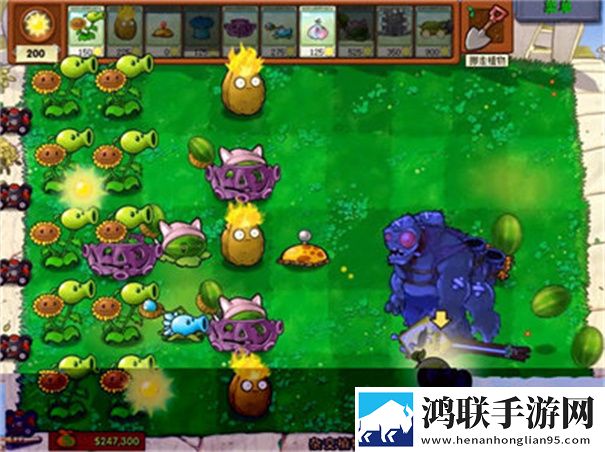 植物大战僵尸杂交版