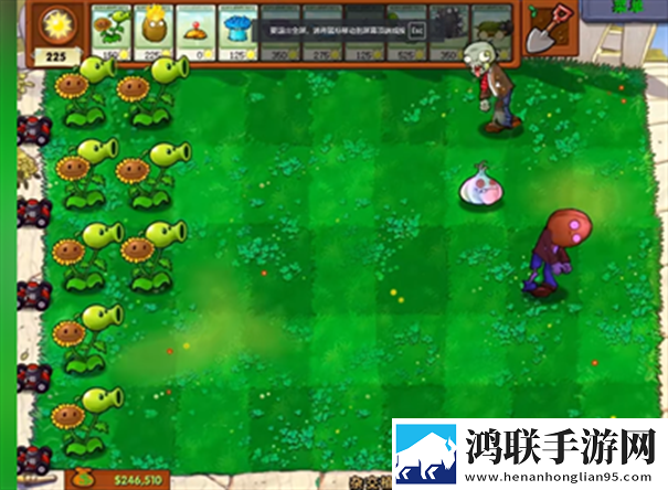 植物大战僵尸杂交版